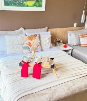Barra do Pirai Apartment | Flat no Aldeia das Águas Park Resort