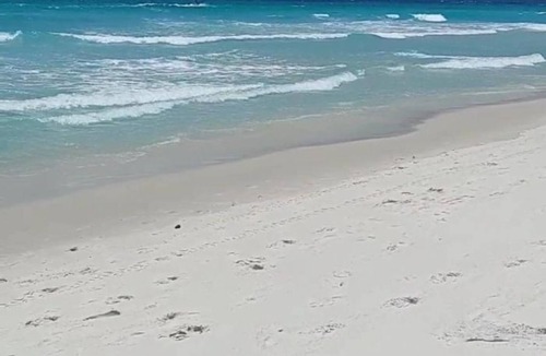 Foguete RV Rental | Flats Paraíso Paradisíaco - Apartment with Sea View 2