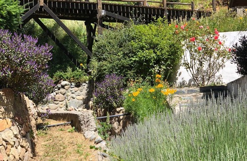 Villa Catedral Cabin | Forest Retreat Near Cerro Catedral & Hiking Trails