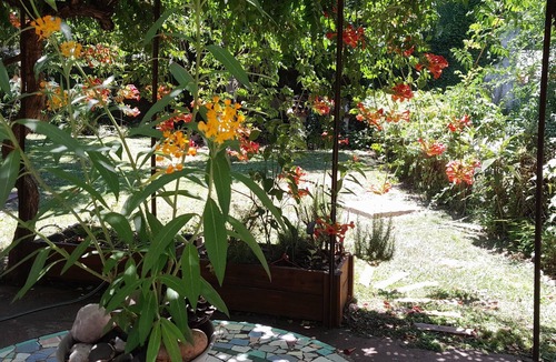 Muniz Cabin | Guest House Muñiz, park 1000m2 20m2 cub. bath w/shower detachable swimming pool