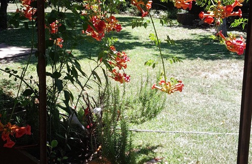 Muniz Cabin | Guest House Muñiz, park 1000m2 20m2 cub. bath w/shower detachable swimming pool