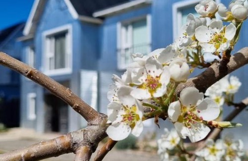 Esquel Apartment | Hol Gok Patagonia