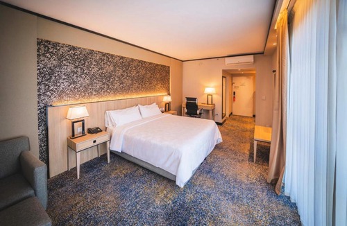 Centro Hotel | Holiday Inn Rosario by IHG