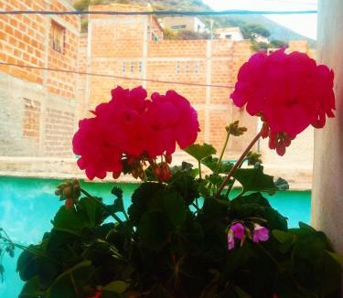 Finca El Potrero Hostel | Hospedaje Ale