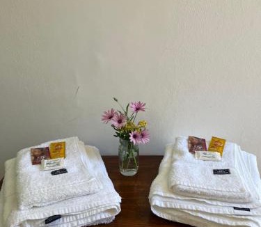Eugenio Bustos Hotel | Hostal Andino