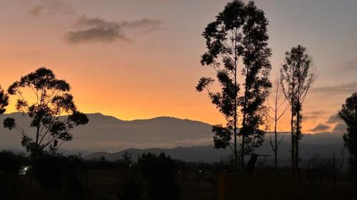 Salta House | Hostal Oasis del Refugio