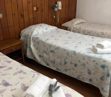 Centro Hotel | Hostería El Ñire