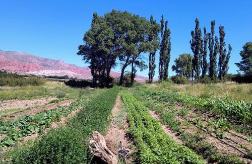 Humahuaca Hotel | Hostería Viñas de Uquia