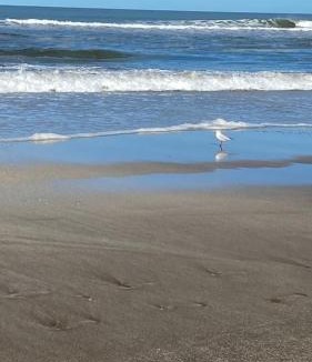 Villa Gesell Hotel | Hotel Boutique Arenarena