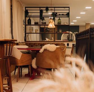 Otacilio Costa Hotel | Hotel Daieli