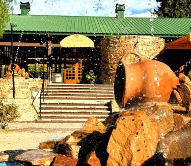 Rincon del Atuel Hotel | Hotel Valle Grande