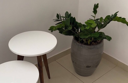 Senhor Do Bonfim Apartment | House 48 - Gamboa