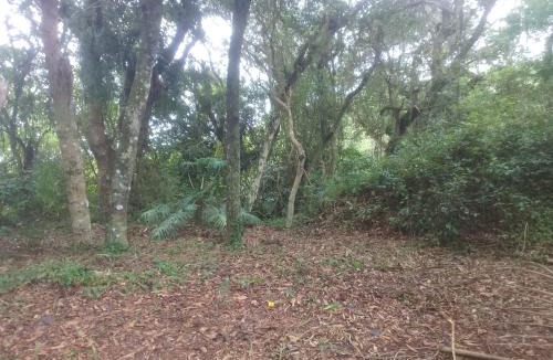 Alto Arroio Other | Ibira Camping