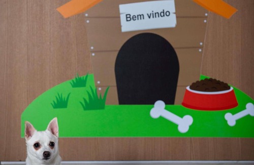 Zona Sul Hotel | ibis budget RJ Praia de Botafogo