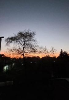 Puerto Iguazu Hostel | Irene Suites Iguazu