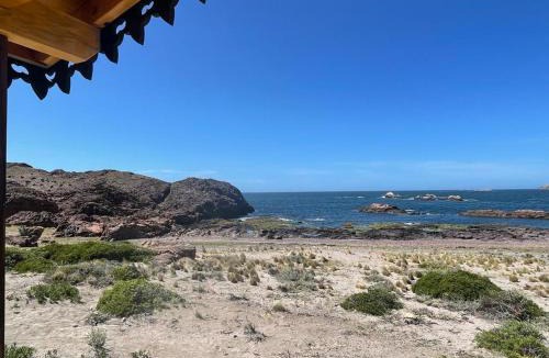 Camarones Other | Isla Leones Camps