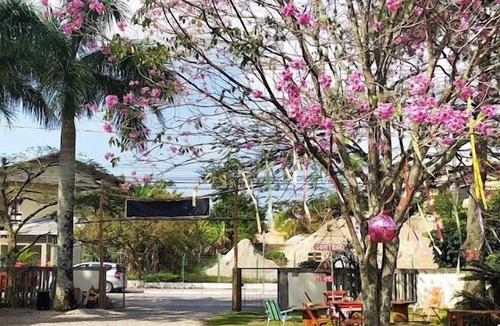 Lagoa da Conceicao Hostel | Island Vibe Nomads - Adventure Hostels