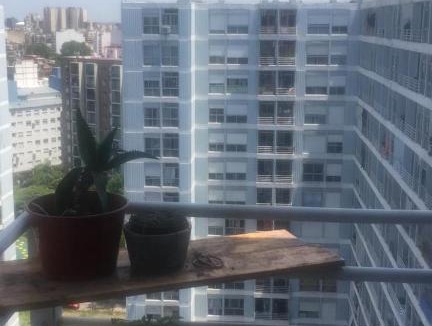 La Boca Apartment | Junior