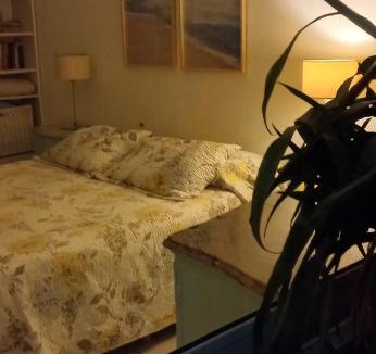 Olavarria House | La biblioteca