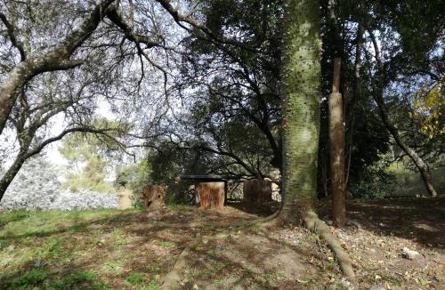 La Granja House | La Caballeriza