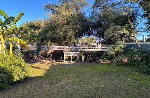 Chascomus House | La Casa Azul: tranquilidad y esparcimiento en un entorno natural
