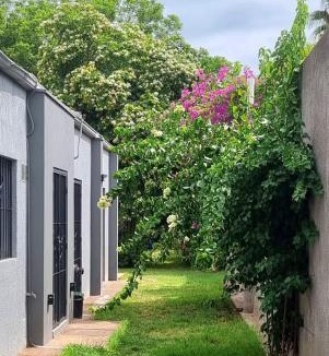 San Martin House | La casa de Flor
