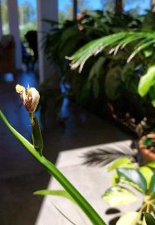 Candelaria House | LA CASITA DE CANDELARIA