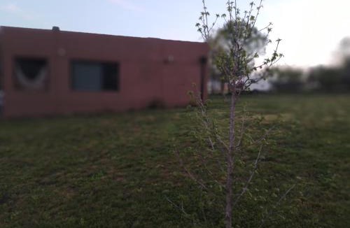 Tandil House | La Elenitaland