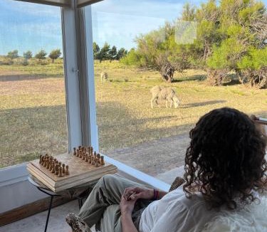 Punta Delgada Hotel | La Elvira Natural Lodge Nature & Wildlife Experience in Península Valdés