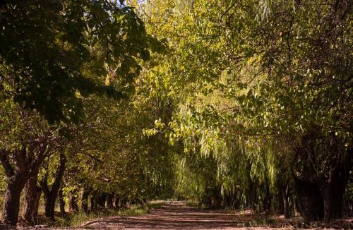 San Martin House | La Finca de Buen Orden