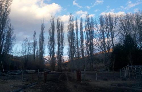 Primeros Pinos Ski Chalet | La señal