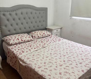 Lanus Apartment | Lanús ministro brin