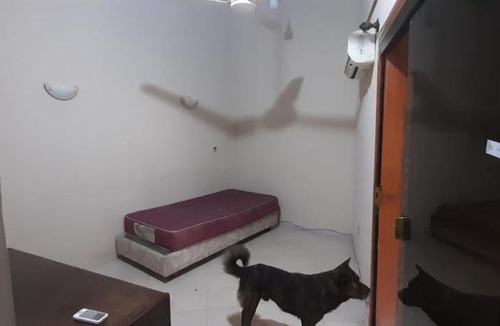 San Lorenzo Hostel | Las Celestes