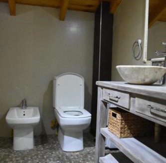 Uspallata House | Las margaritas