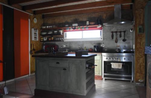 Uspallata House | Las margaritas