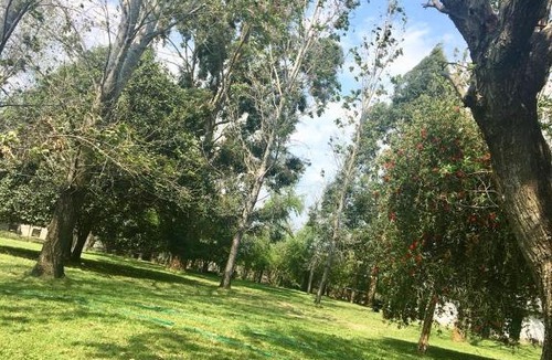 Gualeguaychu House | LAS MARGARITAS CASA DE CAMPO