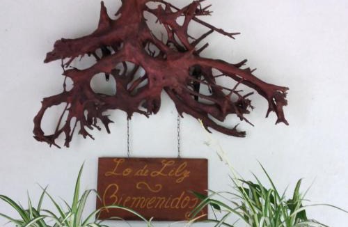 Embalse House | Lo de Lily