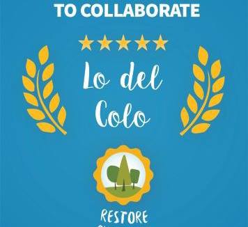 Canning House | Lo del Colo
