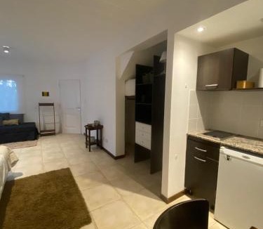 Macrozona Meseta Cerro Calafate Apartment | Loft 9405