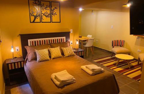 Villa Union Apartment | Loft Centro