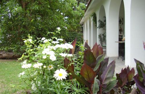 Valle Viejo Bed & Breakfast | Loft en Casona Colonial