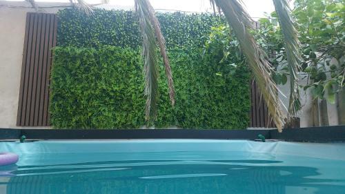 Bahia Blanca Apartment | Loft Salta
