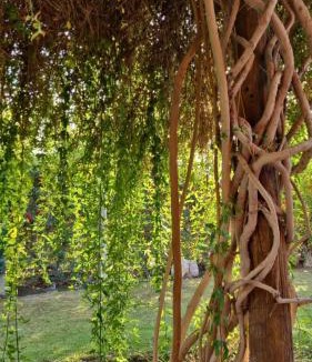Villa Basilio Nievas House | Los Horneros