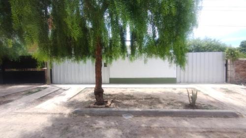 Robles Department Apartment | Los Pinos de Horizonte