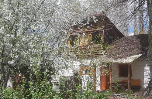 Loncopue Department Ski Chalet | Los Riscos Antigua Cabaña Toba