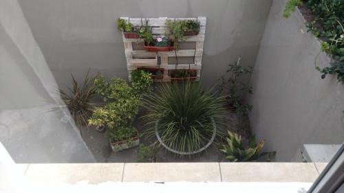 Pigue Apartment | Monoambiente Centrico Pihue