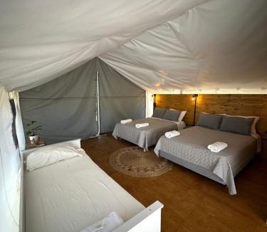 San Andres de Giles Other | moraycamp