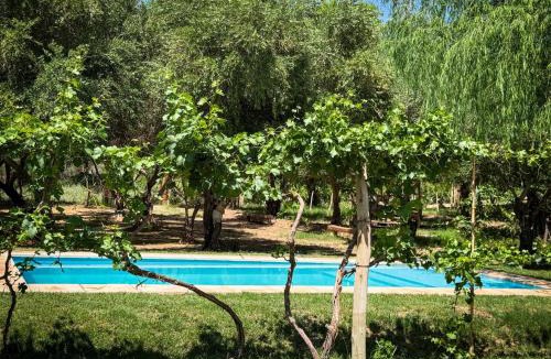 Copacabana House | Munay EcoHostal - Cabañas de Adobe