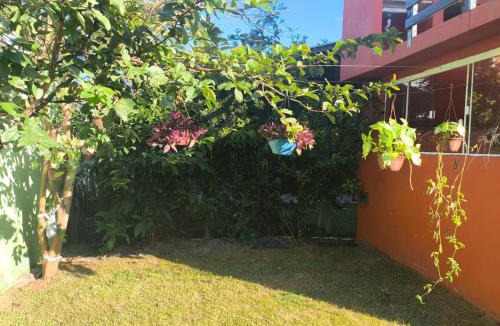 Florianopolis Apartment | Nature Getaway Terrace and Access to Trails