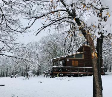 San Antonio de Arredondo Ski Chalet | NOMADE cabin rent